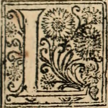 An illustration from De manu regia tractatus : prima[-secunda] pars : inquo, omnium legum regiarum (quibus regi Portugalliae inuictissimo, in causis ecclesiasticis cognitio permissa est) ex iure, priuilegio, consuetudine, seu concordia, sensus, & vera decidendi ratio aperitur, 1622, leaf 248