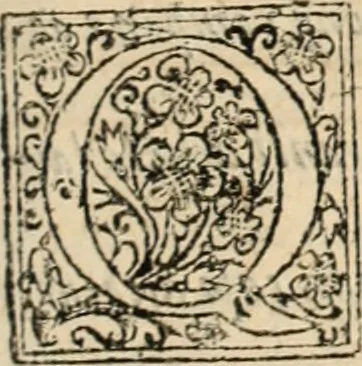 An illustration from De manu regia tractatus : prima[-secunda] pars : inquo, omnium legum regiarum (quibus regi Portugalliae inuictissimo, in causis ecclesiasticis cognitio permissa est) ex iure, priuilegio, consuetudine, seu concordia, sensus, & vera decidendi ratio aperitur, 1622, leaf 266