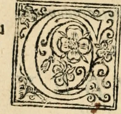 An illustration from De manu regia tractatus : prima[-secunda] pars : inquo, omnium legum regiarum (quibus regi Portugalliae inuictissimo, in causis ecclesiasticis cognitio permissa est) ex iure, priuilegio, consuetudine, seu concordia, sensus, & vera decidendi ratio aperitur, 1622, leaf 267