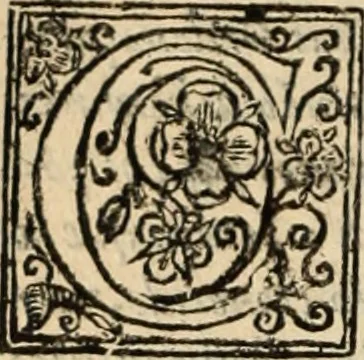 An illustration from De manu regia tractatus : prima[-secunda] pars : inquo, omnium legum regiarum (quibus regi Portugalliae inuictissimo, in causis ecclesiasticis cognitio permissa est) ex iure, priuilegio, consuetudine, seu concordia, sensus, & vera decidendi ratio aperitur, 1622, leaf 273