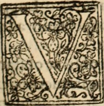 An illustration from De manu regia tractatus : prima[-secunda] pars : inquo, omnium legum regiarum (quibus regi Portugalliae inuictissimo, in causis ecclesiasticis cognitio permissa est) ex iure, priuilegio, consuetudine, seu concordia, sensus, & vera decidendi ratio aperitur, 1622, leaf 282