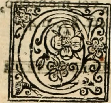 An illustration from De manu regia tractatus : prima[-secunda] pars : inquo, omnium legum regiarum (quibus regi Portugalliae inuictissimo, in causis ecclesiasticis cognitio permissa est) ex iure, priuilegio, consuetudine, seu concordia, sensus, & vera decidendi ratio aperitur, 1622, leaf 289