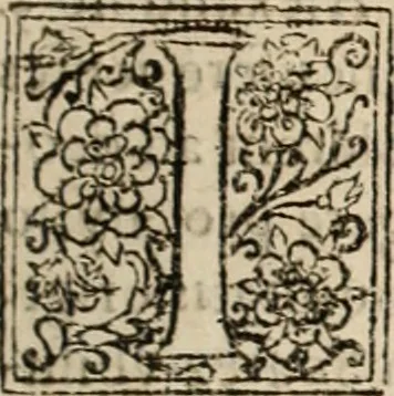 An illustration from De manu regia tractatus : prima[-secunda] pars : inquo, omnium legum regiarum (quibus regi Portugalliae inuictissimo, in causis ecclesiasticis cognitio permissa est) ex iure, priuilegio, consuetudine, seu concordia, sensus, & vera decidendi ratio aperitur, 1622, leaf 298