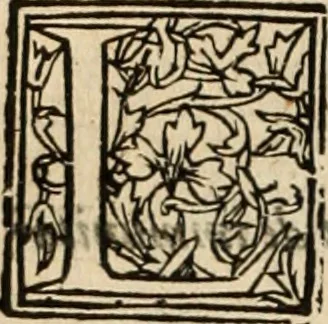 An illustration from De manu regia tractatus : prima[-secunda] pars : inquo, omnium legum regiarum (quibus regi Portugalliae inuictissimo, in causis ecclesiasticis cognitio permissa est) ex iure, priuilegio, consuetudine, seu concordia, sensus, & vera decidendi ratio aperitur, 1622, leaf 299