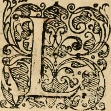An illustration from De manu regia tractatus : prima[-secunda] pars : inquo, omnium legum regiarum (quibus regi Portugalliae inuictissimo, in causis ecclesiasticis cognitio permissa est) ex iure, priuilegio, consuetudine, seu concordia, sensus, & vera decidendi ratio aperitur, 1622, leaf 333