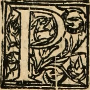 An illustration from De manu regia tractatus : prima[-secunda] pars : inquo, omnium legum regiarum (quibus regi Portugalliae inuictissimo, in causis ecclesiasticis cognitio permissa est) ex iure, priuilegio, consuetudine, seu concordia, sensus, & vera decidendi ratio aperitur, 1622, leaf 361