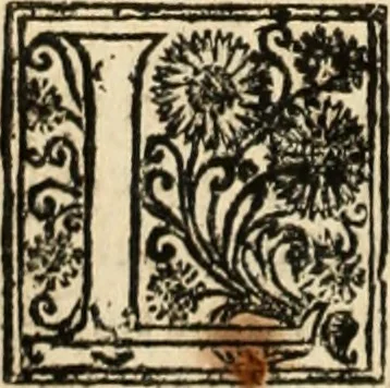 An illustration from De manu regia tractatus : prima[-secunda] pars : inquo, omnium legum regiarum (quibus regi Portugalliae inuictissimo, in causis ecclesiasticis cognitio permissa est) ex iure, priuilegio, consuetudine, seu concordia, sensus, & vera decidendi ratio aperitur, 1622, leaf 383