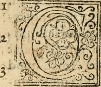 An illustration from De manu regia tractatus : prima[-secunda] pars : inquo, omnium legum regiarum (quibus regi Portugalliae inuictissimo, in causis ecclesiasticis cognitio permissa est) ex iure, priuilegio, consuetudine, seu concordia, sensus, & vera decidendi ratio aperitur, 1622, leaf 397