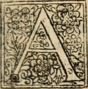 An illustration from De manu regia tractatus : prima[-secunda] pars : inquo, omnium legum regiarum (quibus regi Portugalliae inuictissimo, in causis ecclesiasticis cognitio permissa est) ex iure, priuilegio, consuetudine, seu concordia, sensus, & vera decidendi ratio aperitur, 1622, leaf 398
