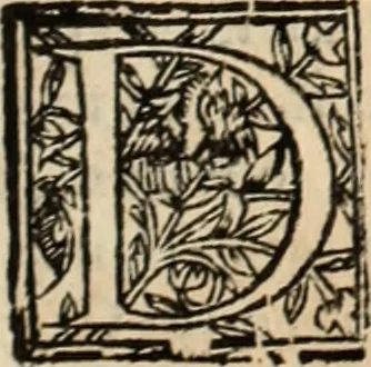 An illustration from De manu regia tractatus : prima[-secunda] pars : inquo, omnium legum regiarum (quibus regi Portugalliae inuictissimo, in causis ecclesiasticis cognitio permissa est) ex iure, priuilegio, consuetudine, seu concordia, sensus, & vera decidendi ratio aperitur, 1622, leaf 40