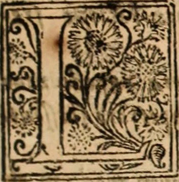 An illustration from De manu regia tractatus : prima[-secunda] pars : inquo, omnium legum regiarum (quibus regi Portugalliae inuictissimo, in causis ecclesiasticis cognitio permissa est) ex iure, priuilegio, consuetudine, seu concordia, sensus, & vera decidendi ratio aperitur, 1622, leaf 406