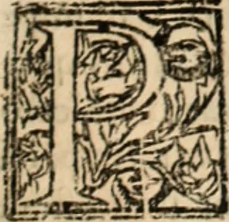 An illustration from De manu regia tractatus : prima[-secunda] pars : inquo, omnium legum regiarum (quibus regi Portugalliae inuictissimo, in causis ecclesiasticis cognitio permissa est) ex iure, priuilegio, consuetudine, seu concordia, sensus, & vera decidendi ratio aperitur, 1622, leaf 408