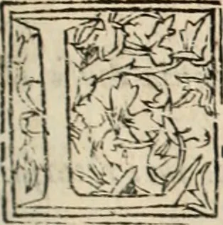 An illustration from De manu regia tractatus : prima[-secunda] pars : inquo, omnium legum regiarum (quibus regi Portugalliae inuictissimo, in causis ecclesiasticis cognitio permissa est) ex iure, priuilegio, consuetudine, seu concordia, sensus, & vera decidendi ratio aperitur, 1622, leaf 474