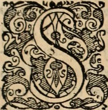 An illustration from De manu regia tractatus : prima[-secunda] pars : inquo, omnium legum regiarum (quibus regi Portugalliae inuictissimo, in causis ecclesiasticis cognitio permissa est) ex iure, priuilegio, consuetudine, seu concordia, sensus, & vera decidendi ratio aperitur, 1622, leaf 48