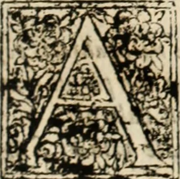 An illustration from De manu regia tractatus : prima[-secunda] pars : inquo, omnium legum regiarum (quibus regi Portugalliae inuictissimo, in causis ecclesiasticis cognitio permissa est) ex iure, priuilegio, consuetudine, seu concordia, sensus, & vera decidendi ratio aperitur, 1622, leaf 506