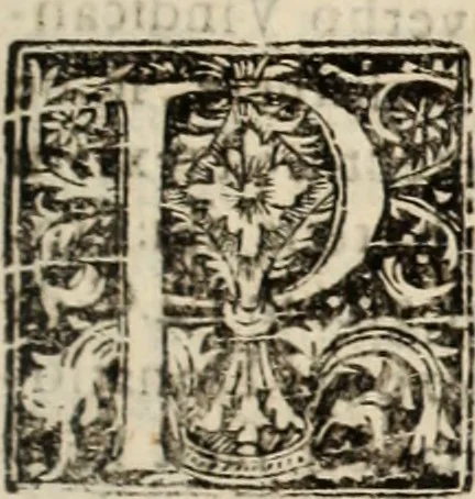 An illustration from De manu regia tractatus : prima[-secunda] pars : inquo, omnium legum regiarum (quibus regi Portugalliae inuictissimo, in causis ecclesiasticis cognitio permissa est) ex iure, priuilegio, consuetudine, seu concordia, sensus, & vera decidendi ratio aperitur, 1622, leaf 508