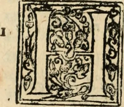 An illustration from De manu regia tractatus : prima[-secunda] pars : inquo, omnium legum regiarum (quibus regi Portugalliae inuictissimo, in causis ecclesiasticis cognitio permissa est) ex iure, priuilegio, consuetudine, seu concordia, sensus, & vera decidendi ratio aperitur, 1622, leaf 529