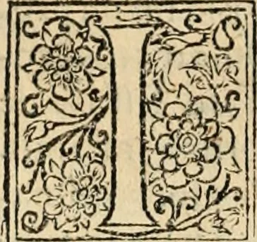 An illustration from De manu regia tractatus : prima[-secunda] pars : inquo, omnium legum regiarum (quibus regi Portugalliae inuictissimo, in causis ecclesiasticis cognitio permissa est) ex iure, priuilegio, consuetudine, seu concordia, sensus, & vera decidendi ratio aperitur, 1622, leaf 543