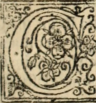An illustration from De manu regia tractatus : prima[-secunda] pars : inquo, omnium legum regiarum (quibus regi Portugalliae inuictissimo, in causis ecclesiasticis cognitio permissa est) ex iure, priuilegio, consuetudine, seu concordia, sensus, & vera decidendi ratio aperitur, 1622, leaf 544