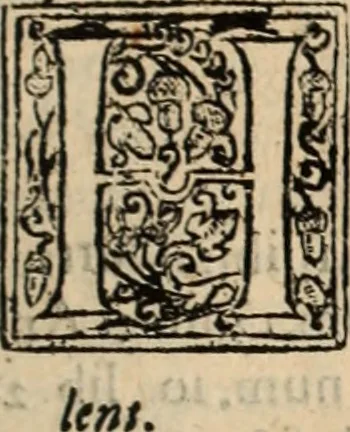 An illustration from De manu regia tractatus : prima[-secunda] pars : inquo, omnium legum regiarum (quibus regi Portugalliae inuictissimo, in causis ecclesiasticis cognitio permissa est) ex iure, priuilegio, consuetudine, seu concordia, sensus, & vera decidendi ratio aperitur, 1622, leaf 562