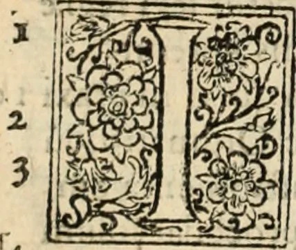 An illustration from De manu regia tractatus : prima[-secunda] pars : inquo, omnium legum regiarum (quibus regi Portugalliae inuictissimo, in causis ecclesiasticis cognitio permissa est) ex iure, priuilegio, consuetudine, seu concordia, sensus, & vera decidendi ratio aperitur, 1622, leaf 585
