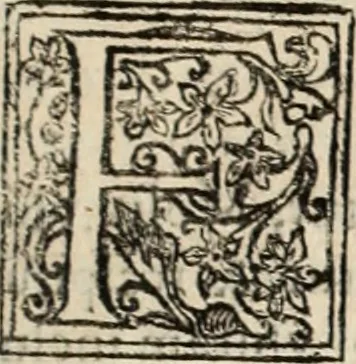 An illustration from De manu regia tractatus : prima[-secunda] pars : inquo, omnium legum regiarum (quibus regi Portugalliae inuictissimo, in causis ecclesiasticis cognitio permissa est) ex iure, priuilegio, consuetudine, seu concordia, sensus, & vera decidendi ratio aperitur, 1622, leaf 600