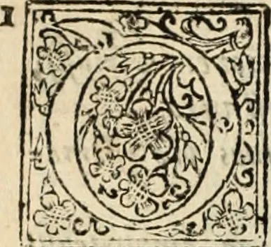 An illustration from De manu regia tractatus : prima[-secunda] pars : inquo, omnium legum regiarum (quibus regi Portugalliae inuictissimo, in causis ecclesiasticis cognitio permissa est) ex iure, priuilegio, consuetudine, seu concordia, sensus, & vera decidendi ratio aperitur, 1622, leaf 601