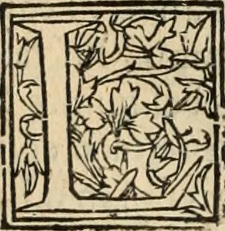 An illustration from De manu regia tractatus : prima[-secunda] pars : inquo, omnium legum regiarum (quibus regi Portugalliae inuictissimo, in causis ecclesiasticis cognitio permissa est) ex iure, priuilegio, consuetudine, seu concordia, sensus, & vera decidendi ratio aperitur, 1622, leaf 611