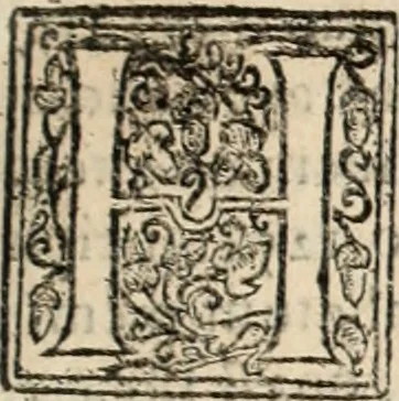An illustration from De manu regia tractatus : prima[-secunda] pars : inquo, omnium legum regiarum (quibus regi Portugalliae inuictissimo, in causis ecclesiasticis cognitio permissa est) ex iure, priuilegio, consuetudine, seu concordia, sensus, & vera decidendi ratio aperitur, 1622, leaf 638