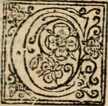 An illustration from De manu regia tractatus : prima[-secunda] pars : inquo, omnium legum regiarum (quibus regi Portugalliae inuictissimo, in causis ecclesiasticis cognitio permissa est) ex iure, priuilegio, consuetudine, seu concordia, sensus, & vera decidendi ratio aperitur, 1622, leaf 642