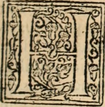 An illustration from De manu regia tractatus : prima[-secunda] pars : inquo, omnium legum regiarum (quibus regi Portugalliae inuictissimo, in causis ecclesiasticis cognitio permissa est) ex iure, priuilegio, consuetudine, seu concordia, sensus, & vera decidendi ratio aperitur, 1622, leaf 642