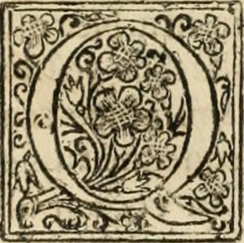 An illustration from De manu regia tractatus : prima[-secunda] pars : inquo, omnium legum regiarum (quibus regi Portugalliae inuictissimo, in causis ecclesiasticis cognitio permissa est) ex iure, priuilegio, consuetudine, seu concordia, sensus, & vera decidendi ratio aperitur, 1622, leaf 645