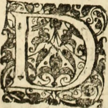 An illustration from De manu regia tractatus : prima[-secunda] pars : inquo, omnium legum regiarum (quibus regi Portugalliae inuictissimo, in causis ecclesiasticis cognitio permissa est) ex iure, priuilegio, consuetudine, seu concordia, sensus, & vera decidendi ratio aperitur, 1622, leaf 645