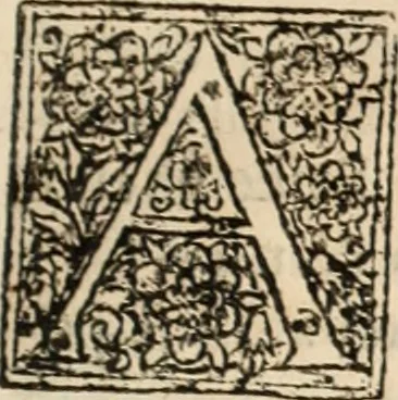 An illustration from De manu regia tractatus : prima[-secunda] pars : inquo, omnium legum regiarum (quibus regi Portugalliae inuictissimo, in causis ecclesiasticis cognitio permissa est) ex iure, priuilegio, consuetudine, seu concordia, sensus, & vera decidendi ratio aperitur, 1622, leaf 656