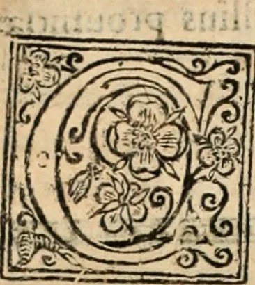 An illustration from De manu regia tractatus : prima[-secunda] pars : inquo, omnium legum regiarum (quibus regi Portugalliae inuictissimo, in causis ecclesiasticis cognitio permissa est) ex iure, priuilegio, consuetudine, seu concordia, sensus, & vera decidendi ratio aperitur, 1622, leaf 73