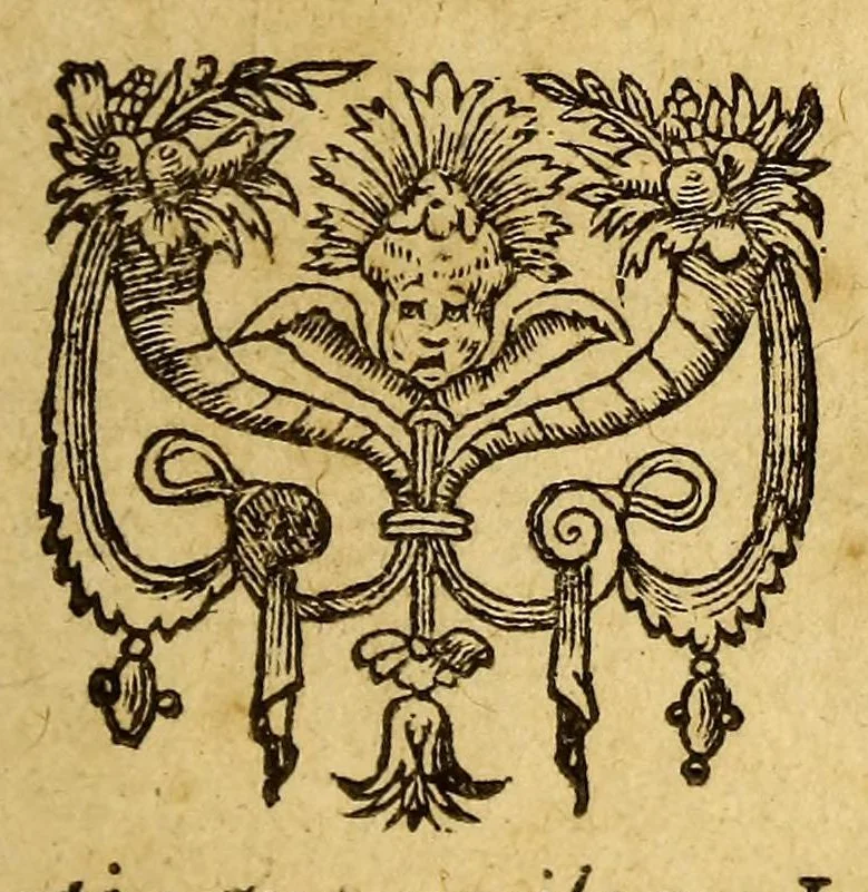 An illustration from De Martini Forbisseri Angli navigatione in regiones occidentis et septentrionis narratio historica,, 1580, leaf 7