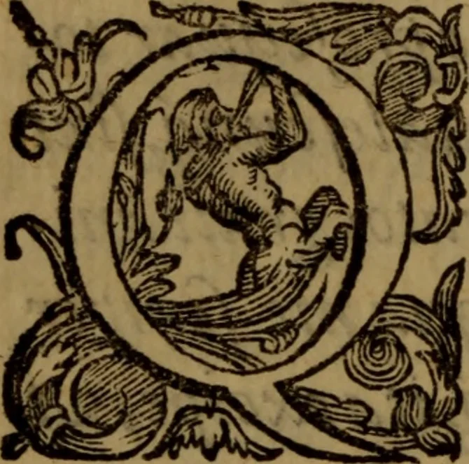 An illustration from De medica historia mirabili libri sex, 1597, leaf 11