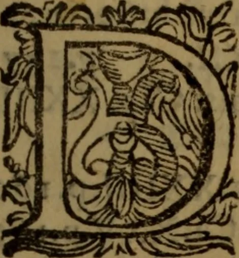 An illustration from De medica historia mirabili libri sex, 1597, leaf 12