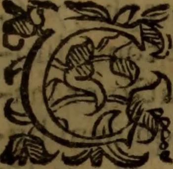 An illustration from De medica historia mirabili libri sex, 1597, leaf 120
