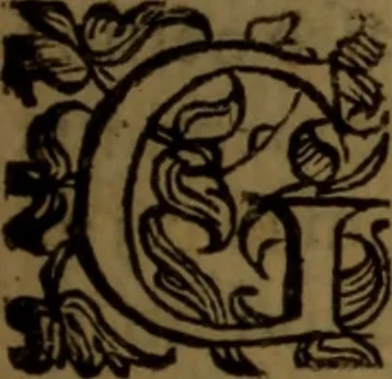 An illustration from De medica historia mirabili libri sex, 1597, leaf 134