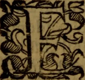 An illustration from De medica historia mirabili libri sex, 1597, leaf 139