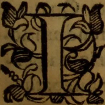 An illustration from De medica historia mirabili libri sex, 1597, leaf 150