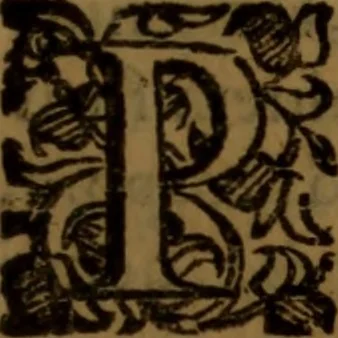 An illustration from De medica historia mirabili libri sex, 1597, leaf 170