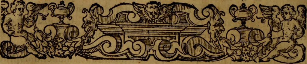An illustration from De medica historia mirabili libri sex, 1597, leaf 185
