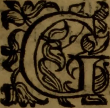 An illustration from De medica historia mirabili libri sex, 1597, leaf 192