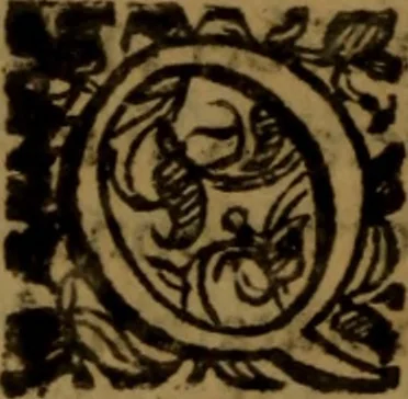 An illustration from De medica historia mirabili libri sex, 1597, leaf 193