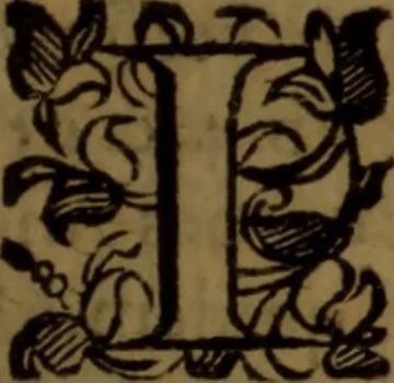 An illustration from De medica historia mirabili libri sex, 1597, leaf 194