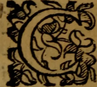 An illustration from De medica historia mirabili libri sex, 1597, leaf 203