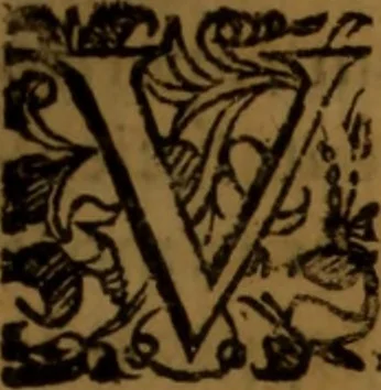 An illustration from De medica historia mirabili libri sex, 1597, leaf 208