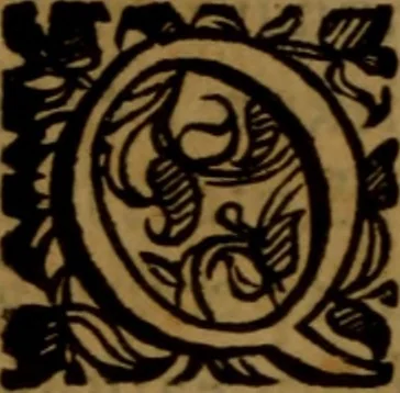 An illustration from De medica historia mirabili libri sex, 1597, leaf 215